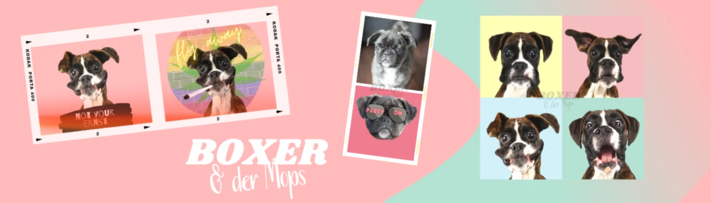 Banner image of CarinaPhilippzik