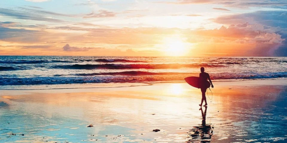 Banner image of Junier