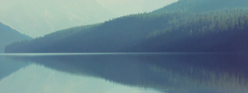 Banner image of Fresco