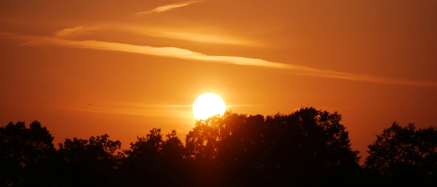 Bannière de Hungaro Ranch