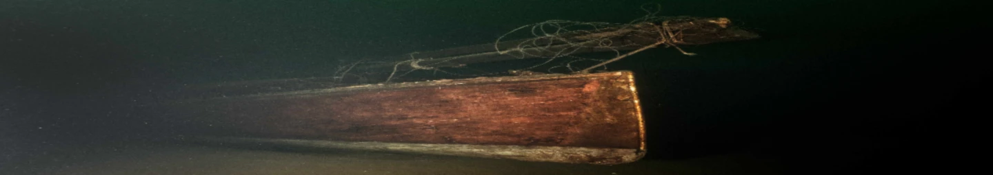 Bannerbild von Heleneseetaucher