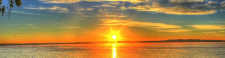 Banner image of Sunrise59