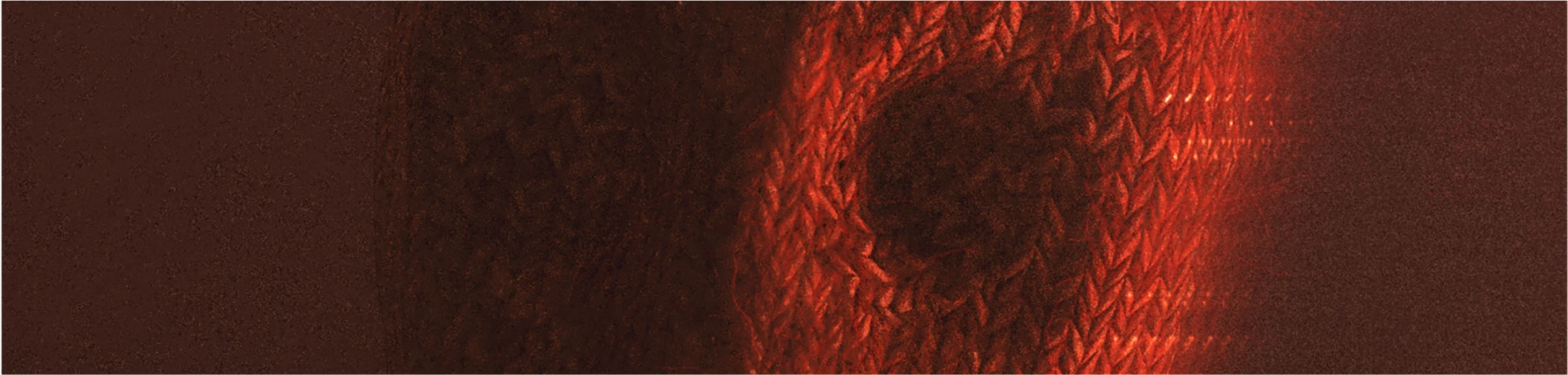 Bannerbild von kamilowany