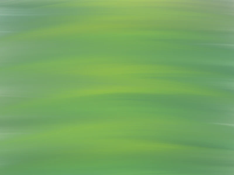 Bannerbild von Kleingartenganzgross