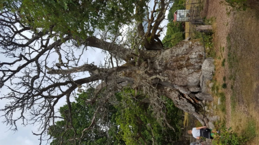 Banner image of Etulliw