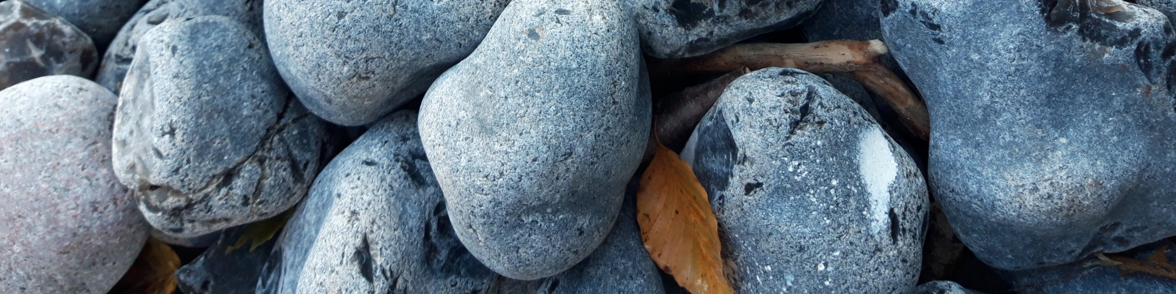 Bannerbild von Kobold Landy