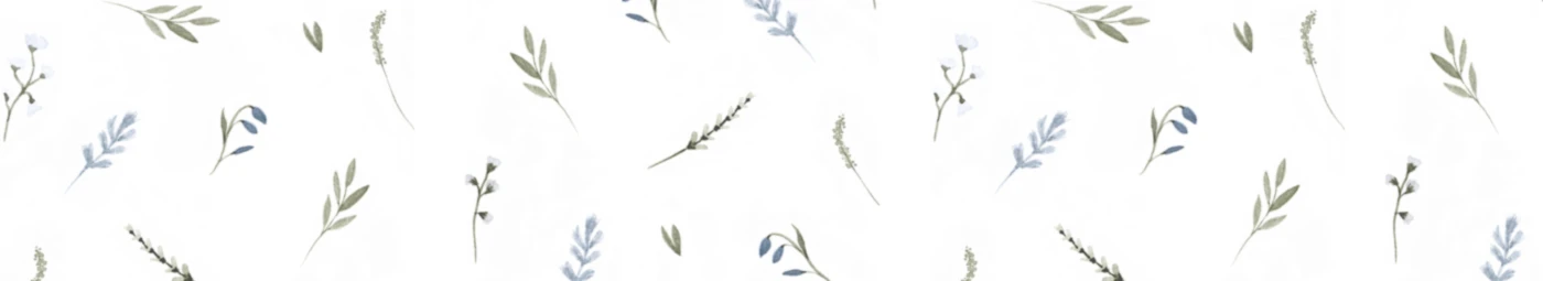 Banner image of RINKLAND