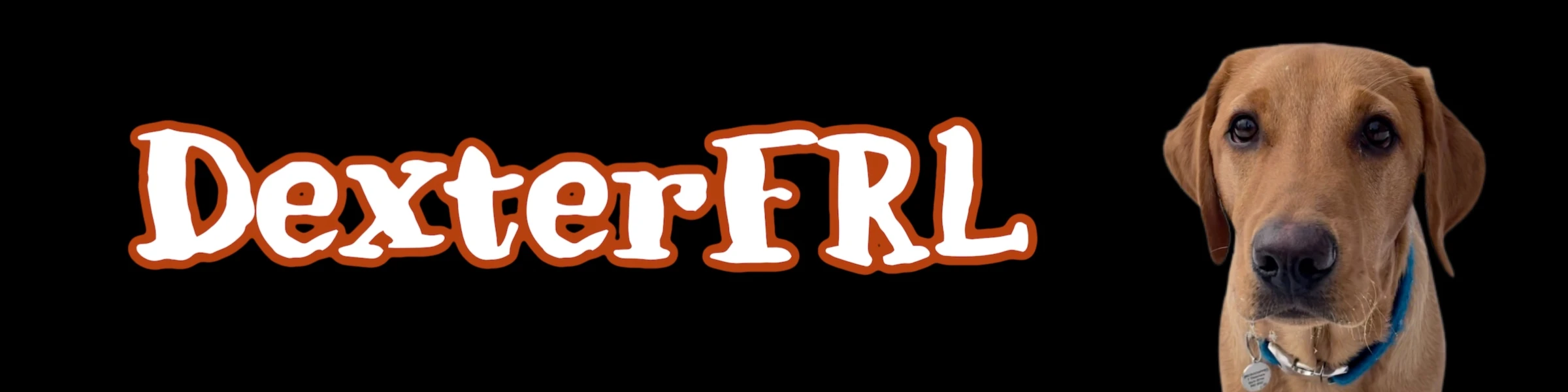 Banner image of DexterFRL