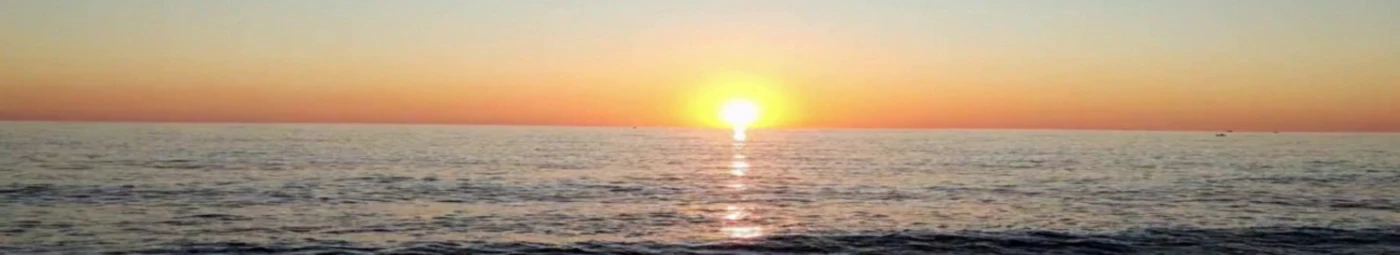 Banner image of sebastien.sowilo