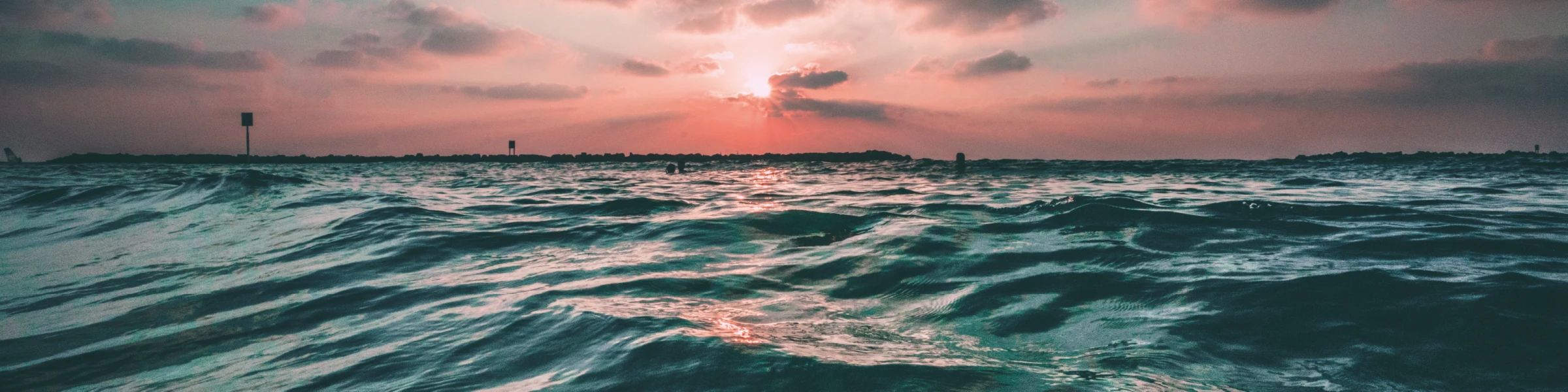 Banner image of tris.pr