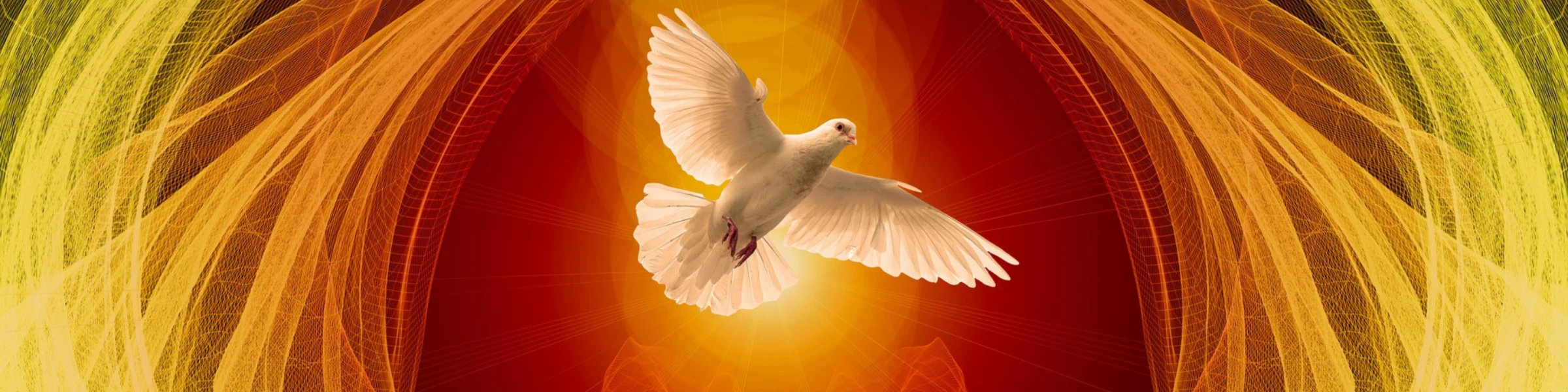 Banner image of Skaal