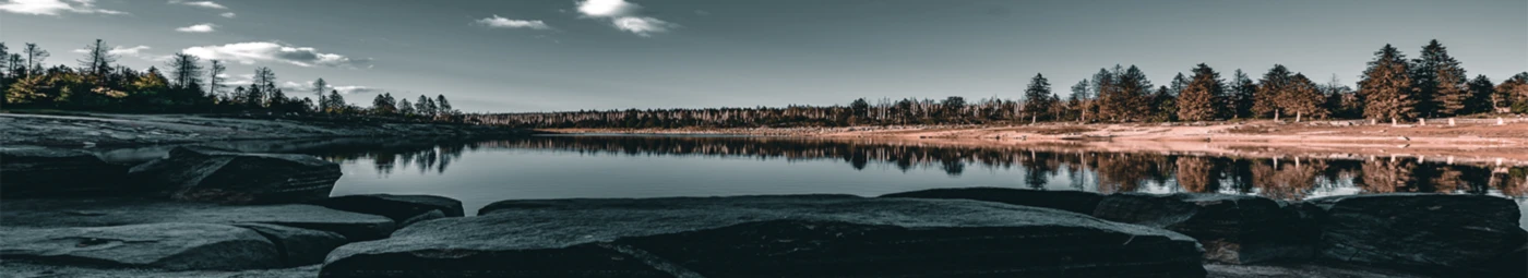 Bannière de Dominik pe