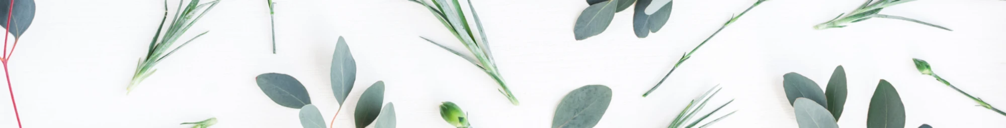 Banner image of Pris25