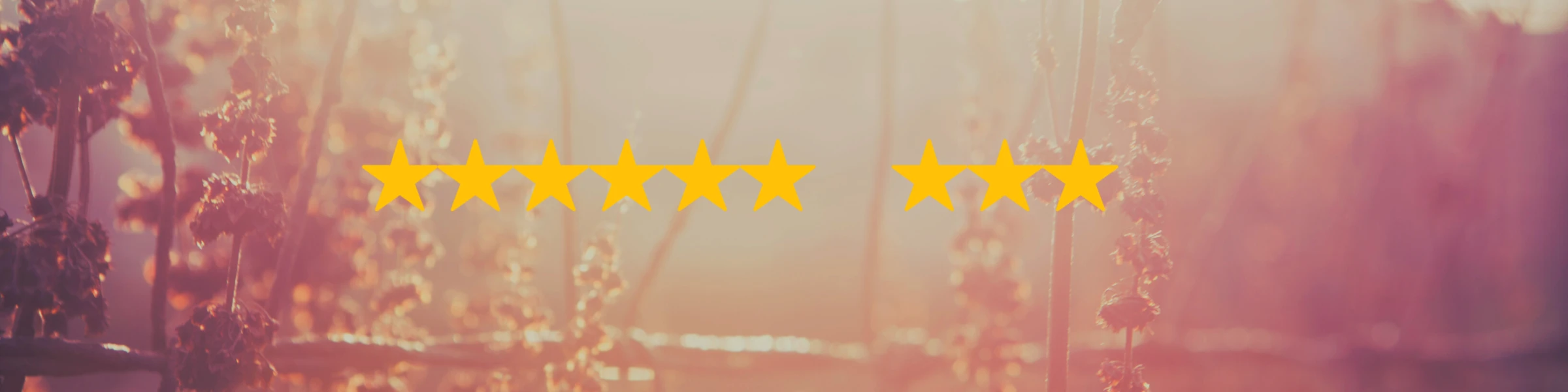 Banner image of DeStars