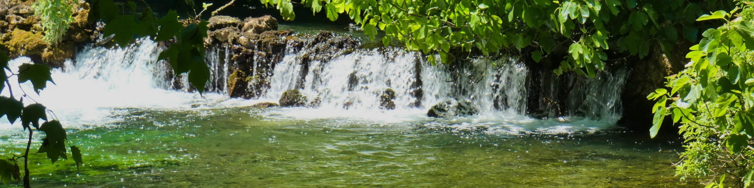 Banner image of 122411310