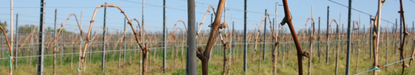 Bannerbild von fewofeelgood