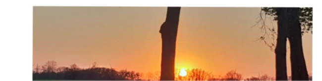 Banner image of Jess3487