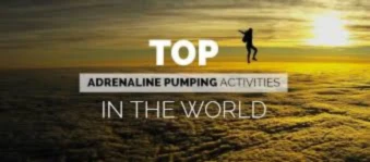 Banner image of DiDiBlue