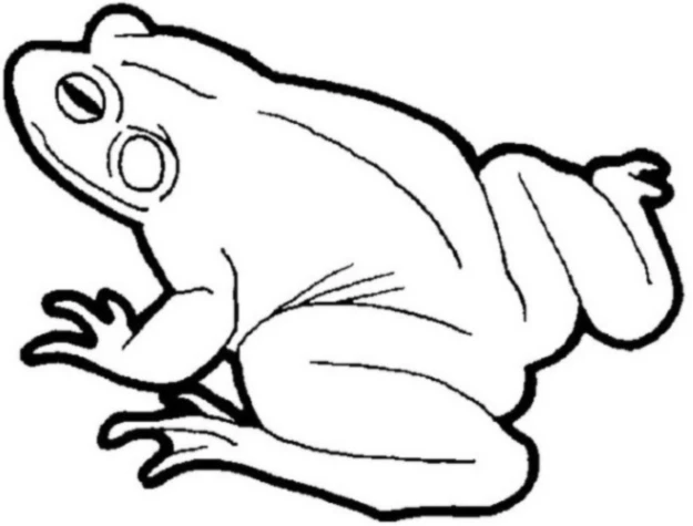 Banner image of Spring-ART