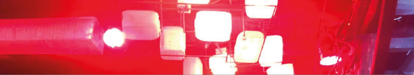 Banner image of LimbusRave