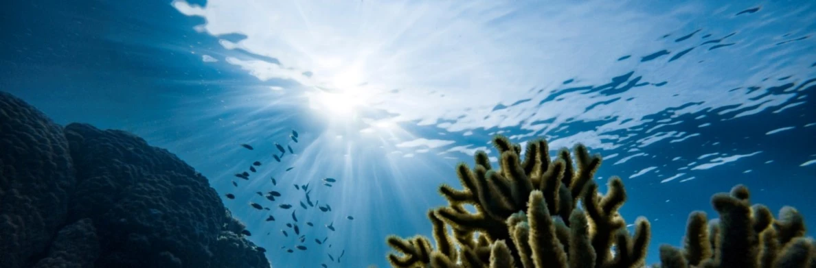 Banner image of AquaPrints