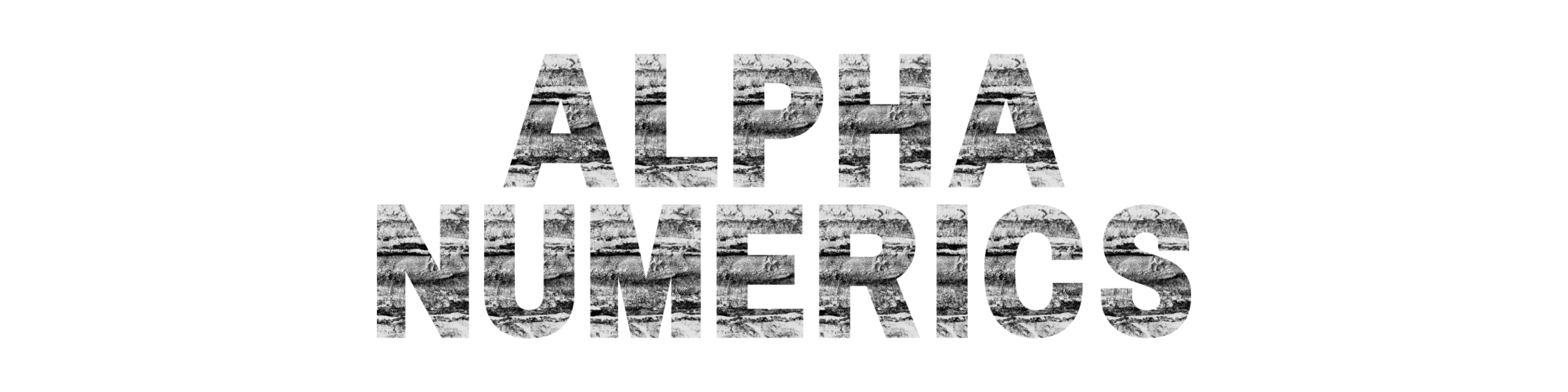 Bannière de Alphanumerics