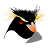 PunkPenguin