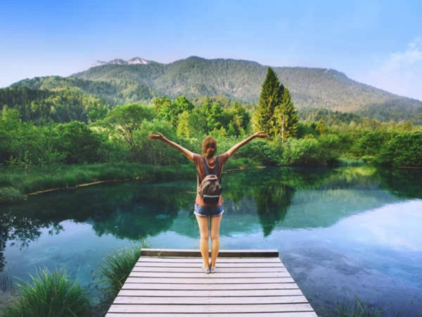 Banner image of Honiasart