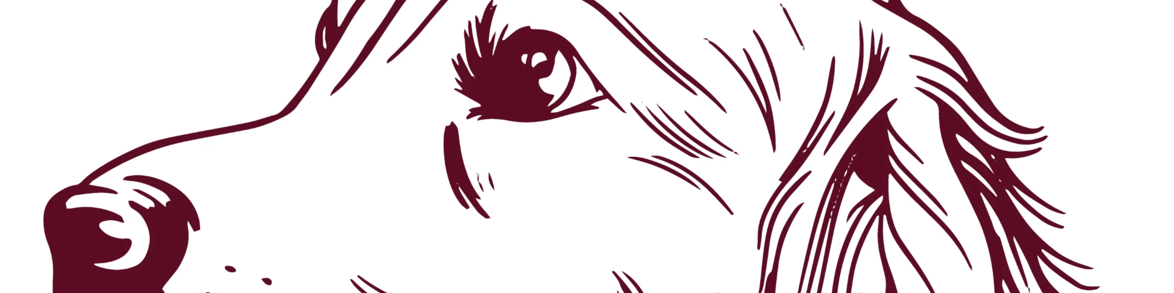 Banner image of fashionablemerch