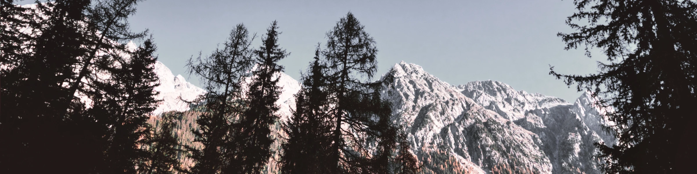 Banner image of TriqiStore