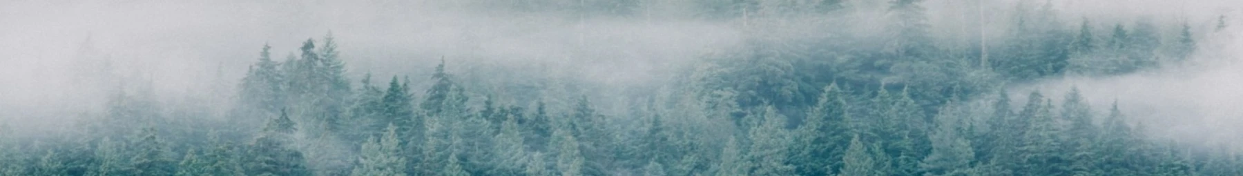 Banner image of NechTees