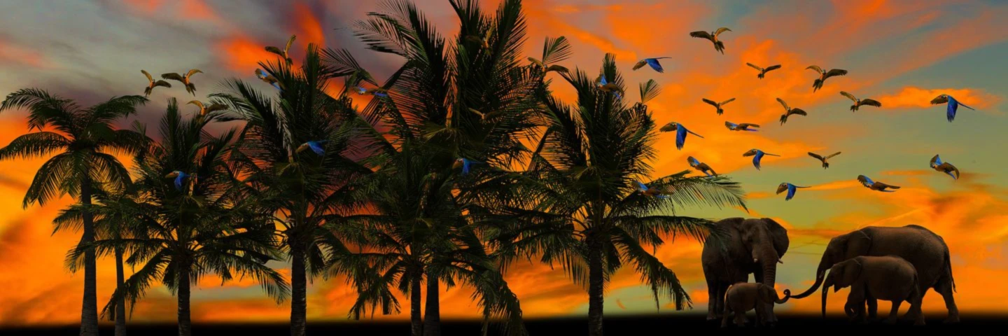 Banner image of JasonLee