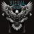 visual eco