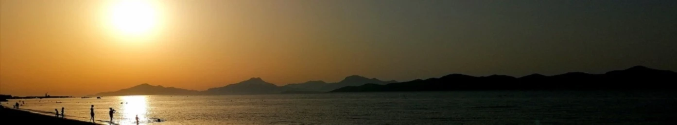 Banner image of TrueDesigns