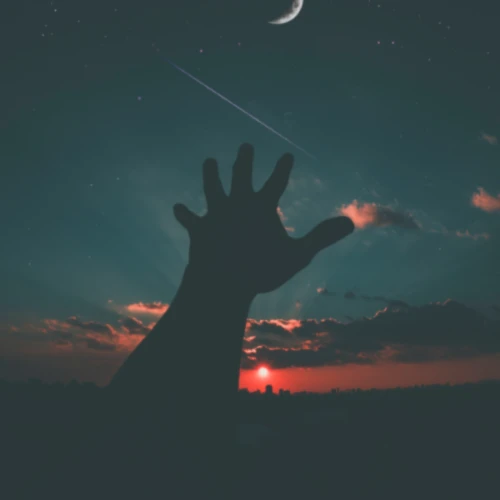 Banner image of Arlene Schober Freedom and Joy