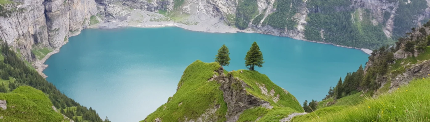 Banner image of ON THE WAY