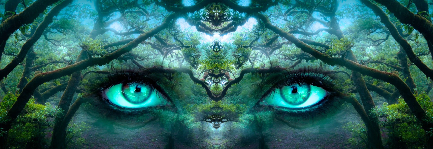 Banner image of Serhan2602