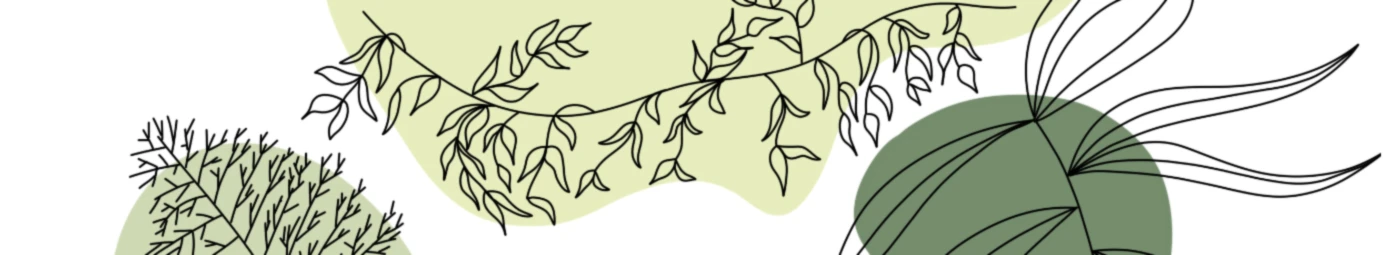 Bannière de Pury artish