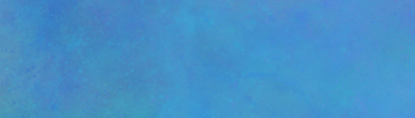 Bannerbild von Jenny M.