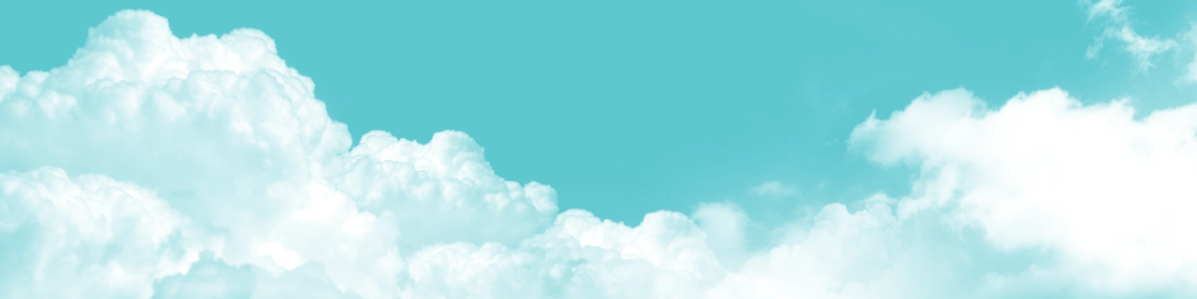 Banner image of BONBI