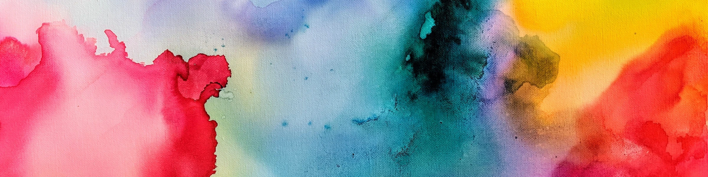 Banner image of MUSSBO