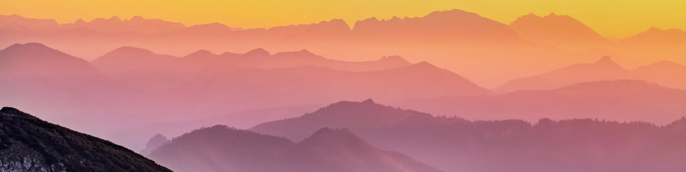 Bannière de addeosDesigns