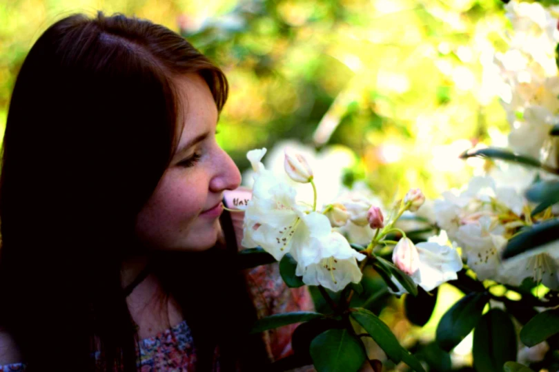 Bannerbild von Lissy1992