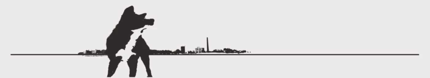 Bannière de Zenikdesign