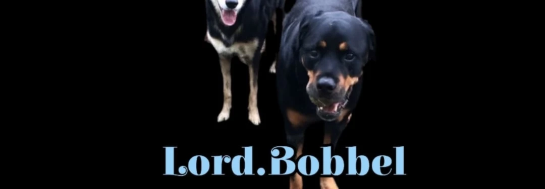 Bannerbild von Lord.Bobbel