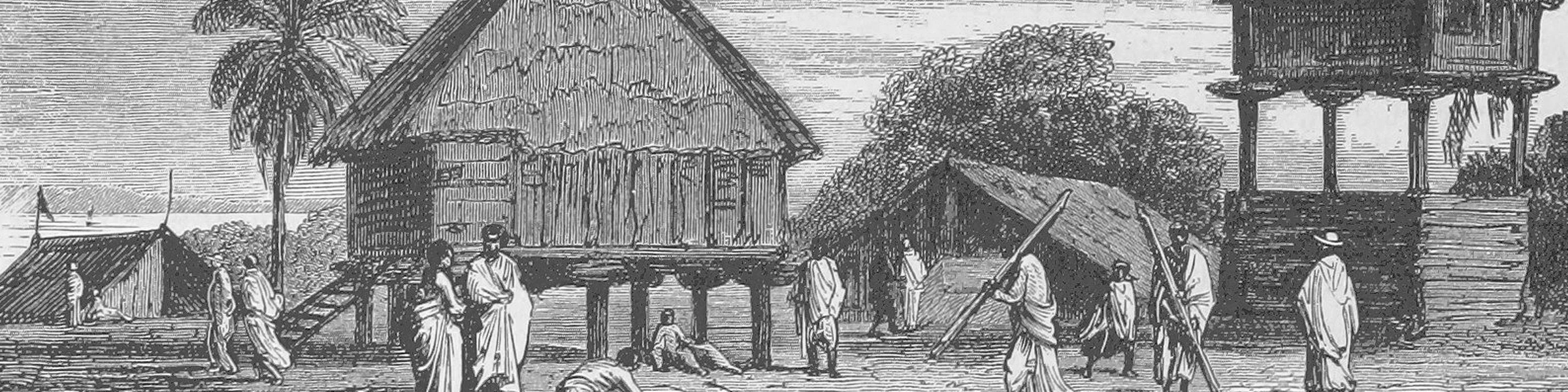 Banner image of MV - MadaVibe