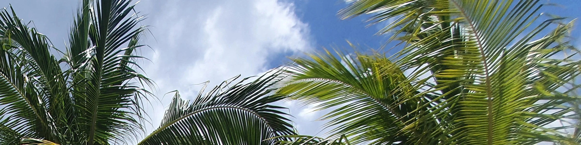 Bannerbild von Reiseflausen.im.Kopf