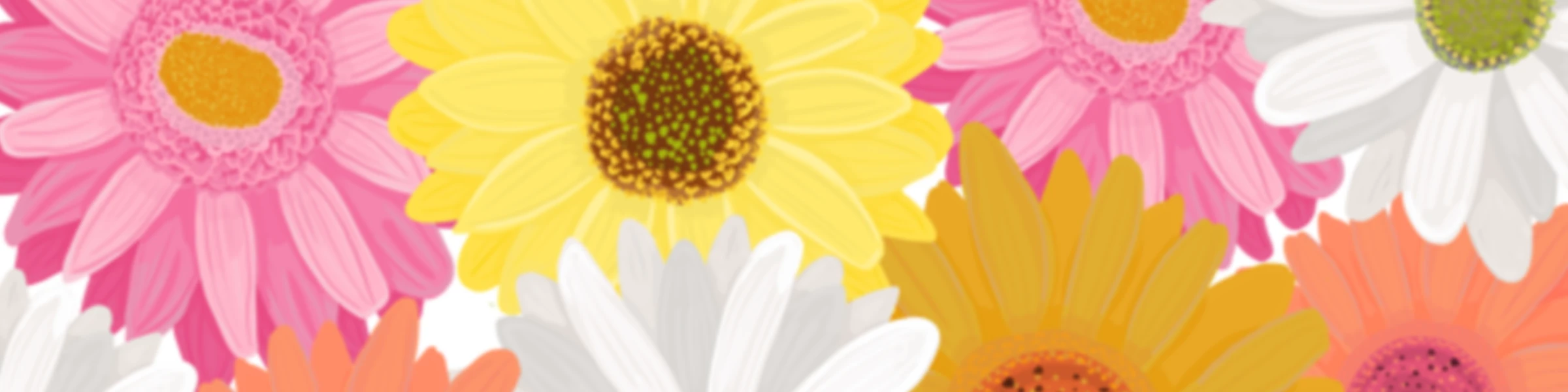 Banner image of Aikla using colors