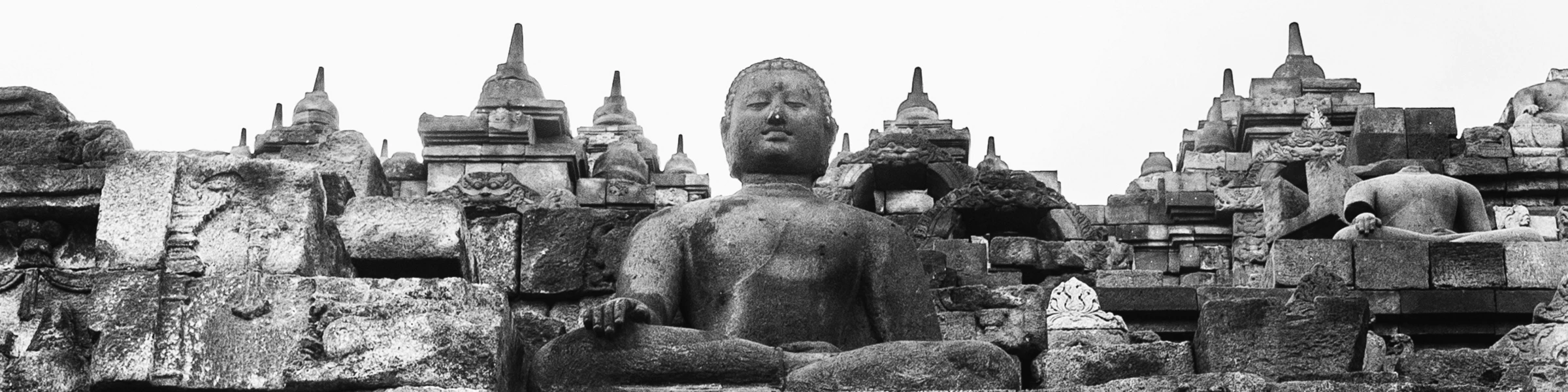 Banner image of Sebastien Baudry