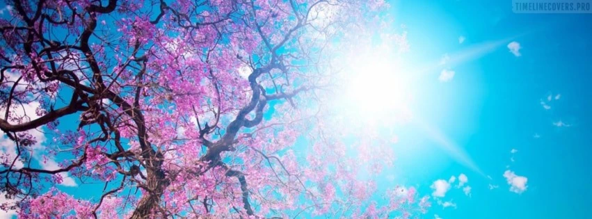 Banner image of Rayana